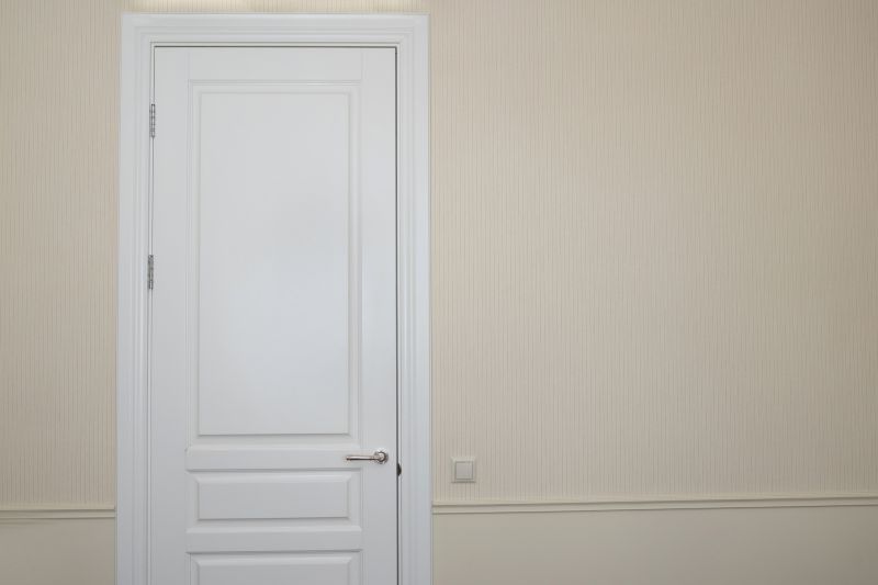 Modern Interior Door